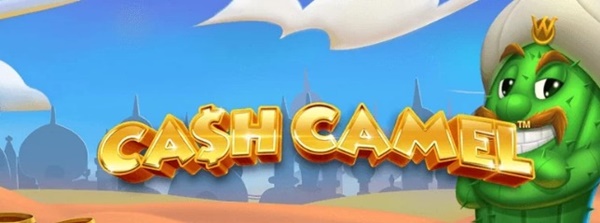Cái nhìn tổng quan về Slot Game Cash Camel tại Casino nhà cái uy tín