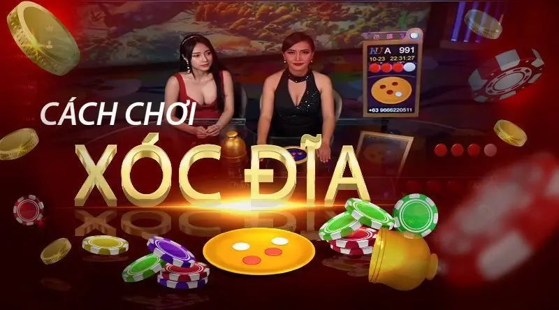 Tổng hợp 10 kinh nghiệm chơi xóc đĩa từ cao thủ