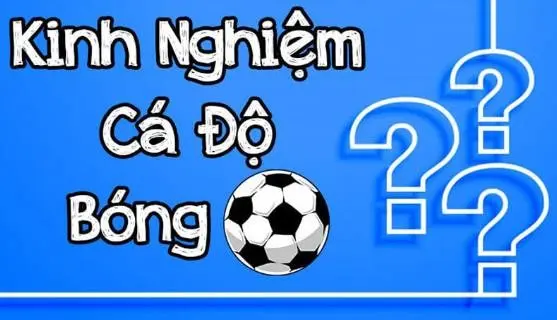 Kinh nghiệm phán đoán Chiến thuật đặt cược tốt nhất