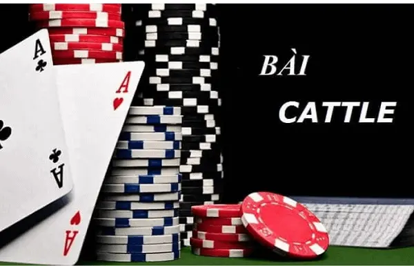 Bài Catte 4 cách chơi game bài casino Catte tránh rủi ro nhất