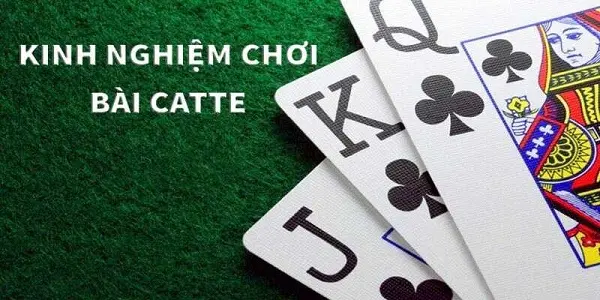 Bài Catte 4 cách chơi game bài casino Catte tránh rủi ro nhất