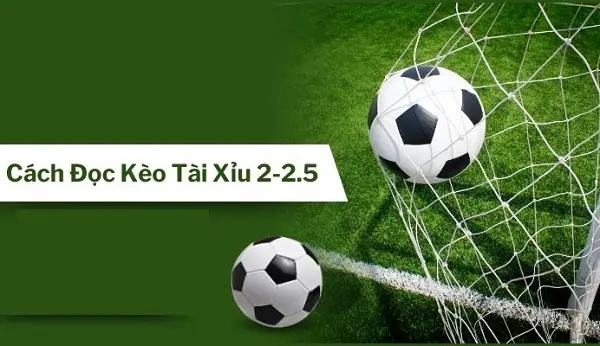 Kèo tài xỉu 22.5 – Cách đọc kèo tài xỉu trong cá cược bóng đá