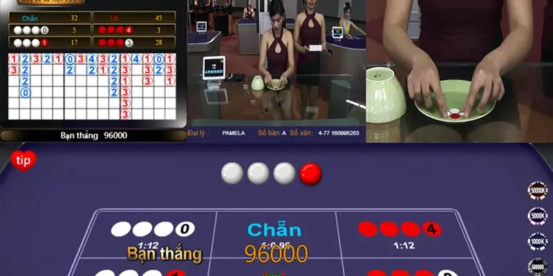 Mẹo chơi xóc đĩa trên cơ nhà cái casino online