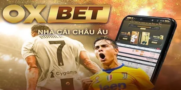 Đánh giá chi tiết nhà cái OXBET - BXH nhà cái uy tín 2025